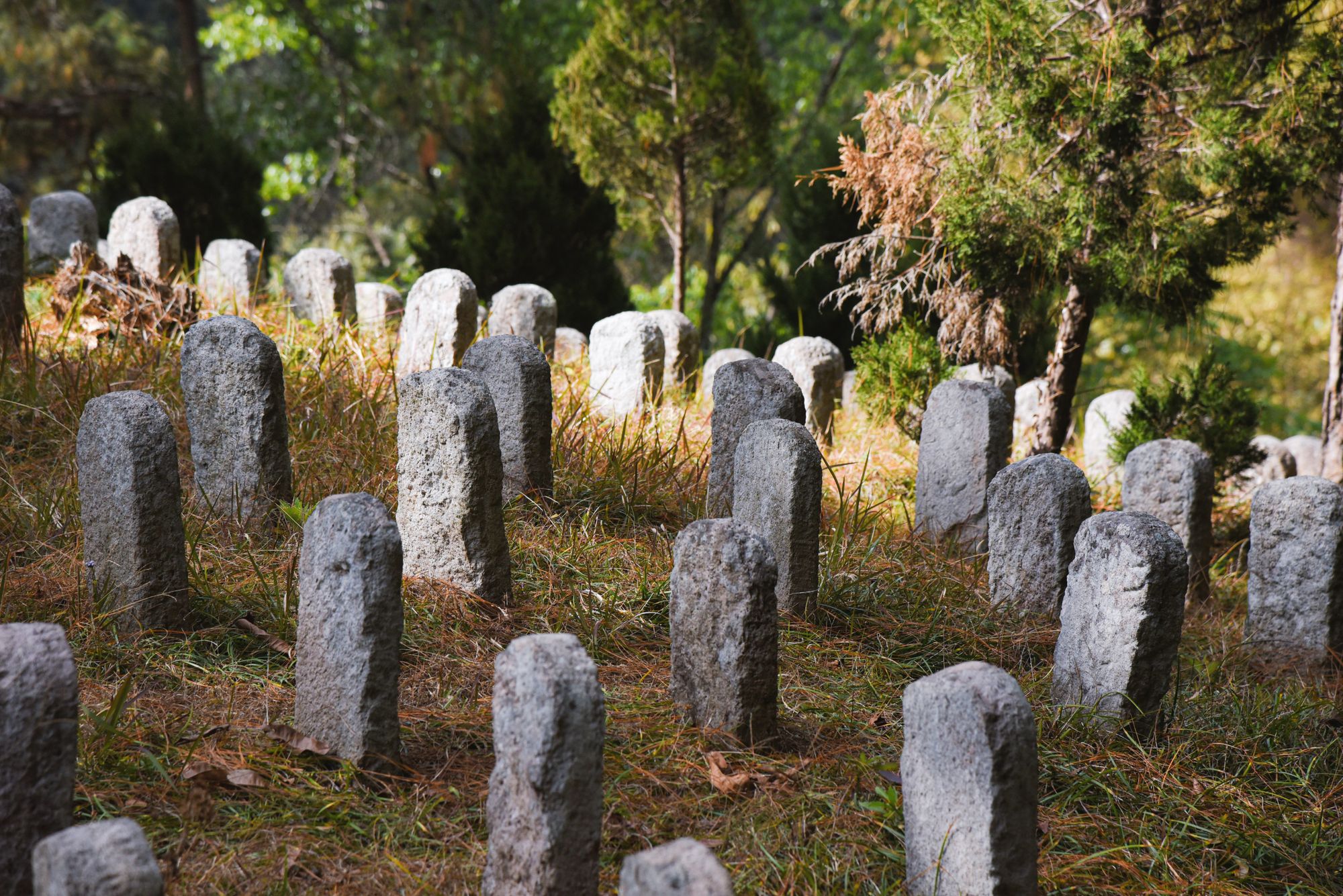 Mezarlıkta Ölü Gömme Ritüelleri